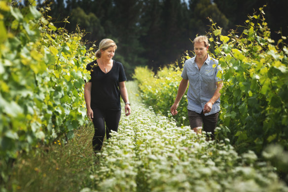 Viticulturist Nigel Sowman with Anna Dunne, Ivan and Margaret Sutherland’s daughter, in the vineyards at Dog Point.