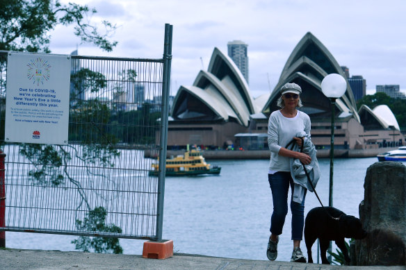 A dog walker at Milsons Point. The Premier says managing the crisis is a balancing act: "How can we keep a COVID-safe existence whilst keeping the economy open?"