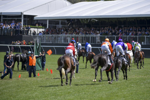 The Cliffsofmoher is attended to after suffering a catastrophic injury in the 2018 Melbourne Cup which proved fatal.