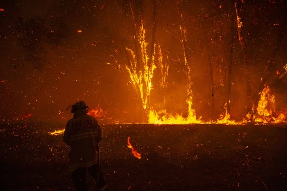 A firefighter battles an ember attack as a bushfire impacts a property in Mangrove Mountain.