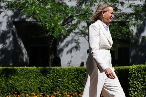 Sussan Ley’s departure from politics makes for a fascinating byelection for her seat of Farrer.