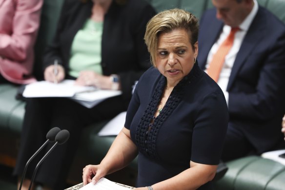Michelle Rowland rejects the assertion that Elon Musk’s Starlink technology has made the NBN redundant.