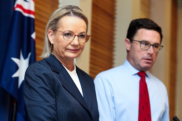 Liberal leader Sussan Ley and Nationals leader David Littleproud face the media on Wednesday.