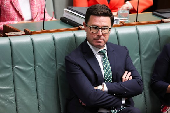 Nationals leader David Littleproud.