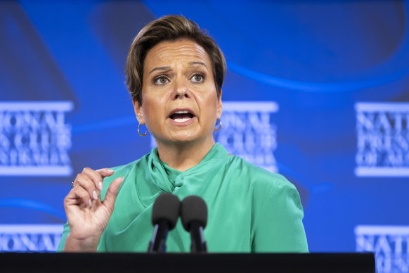 Communications Minister Michelle Rowland during an address to the National Press Club in November. 