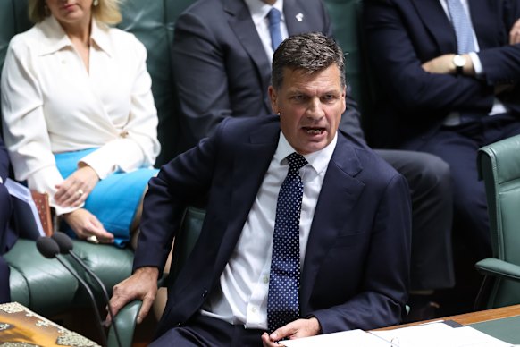 Opposition Leader Angus Taylor during question time on Thursday.