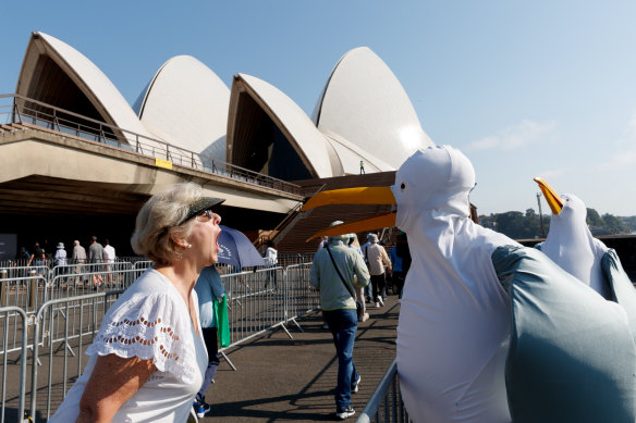 A pair of seagulls welcomes people as they funnel through barriers at the Opera House 