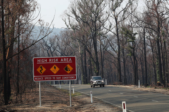 Bushfire damage is seen near Tambo Crossing beside the Great Alpine road in the Victorian high country. The route was reopened on Monday.