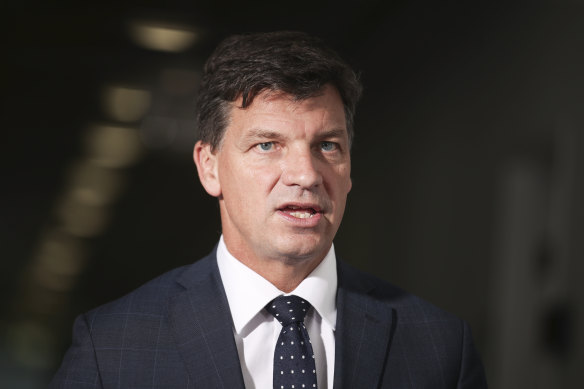 Energy Minister Angus Taylor says it’s clear the future of road transport in Australia will be a mix of vehicle technologies and fuels.