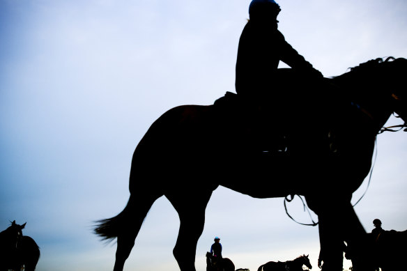 A confronting report has been released into historical physical and sexual abuse in the racing industry in Victoria.