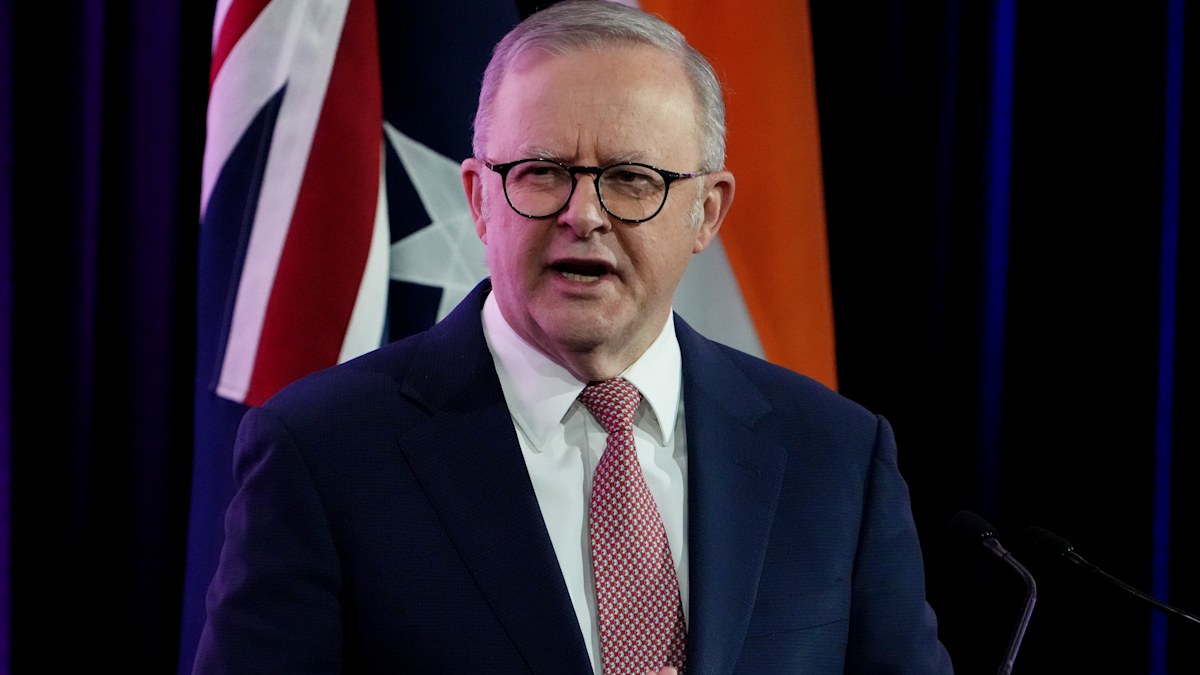 Australia putting ‘nothing’ into AI safety despite unknown threats: expert