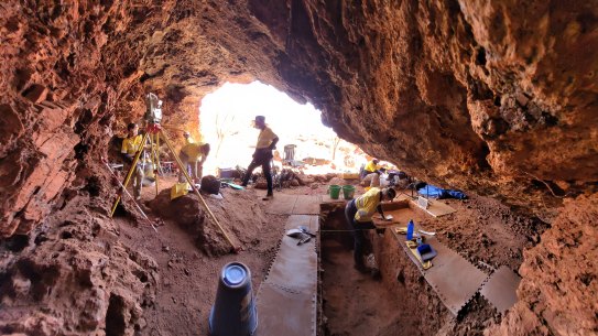 Breaking: Devil's Tooth Found in Shocking Discovery at Juukan Cave Site!