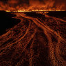 World of photos, November 24, 2024