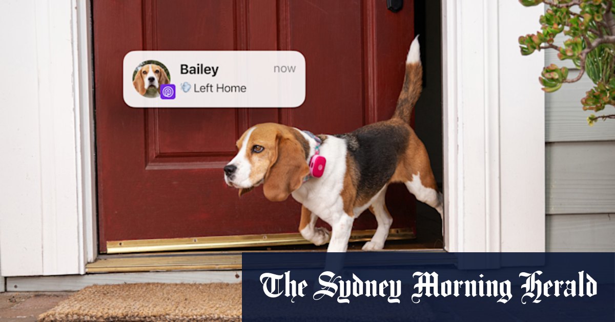 Family GPS app enables tracking for dogs and cats using satellites