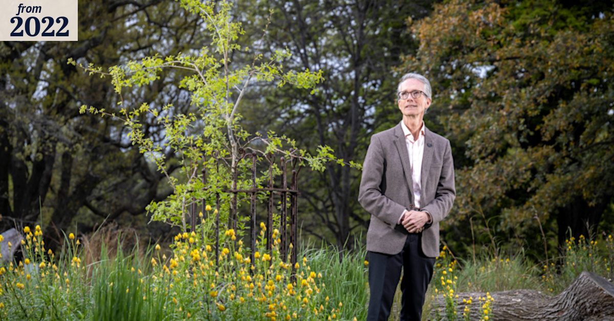 Royal Botanic Gardens in Melbourne: Trees replaced due to climate change
