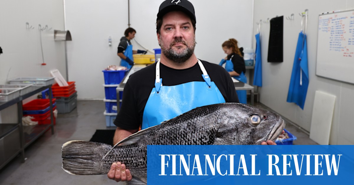 A commercial fisher has accused the government of reverse-engineering its trawling prohibition for political purposes rather than base it on scientific advice.