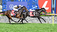 Point Of Law wins the Geelong Cup.