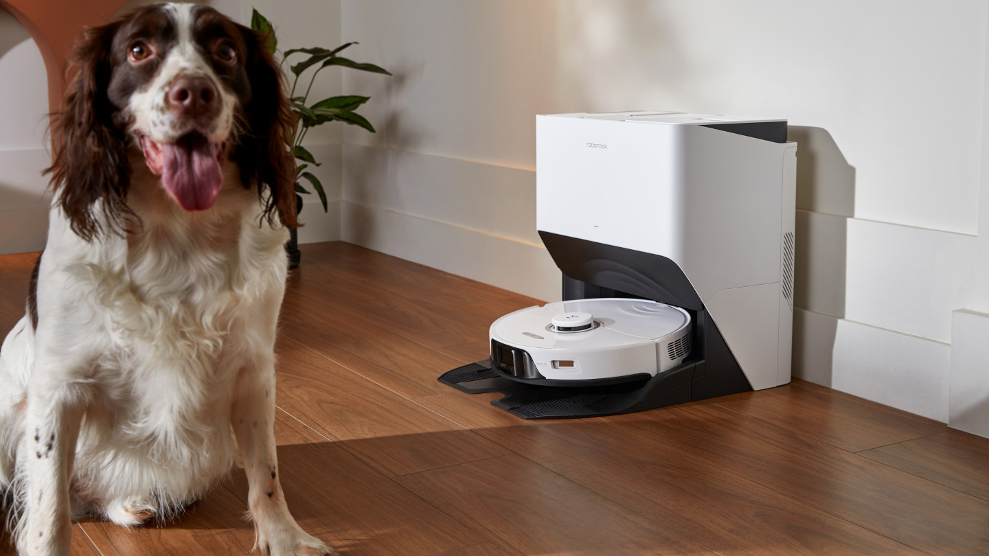 Roborock vacuum sales