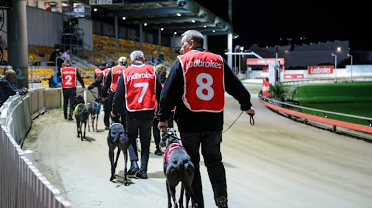 Dapto Dogs