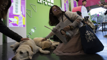 A Hong Kong student pats Taiwanese President Tsai Ing-wen's dogs during a visit to the campaign headquarters for the Democratic Progressive Party in Taipei on Thursday.