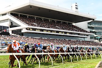 Attention from the race that stops the nation could flow on for another week into the Golden Eagle in Sydney.