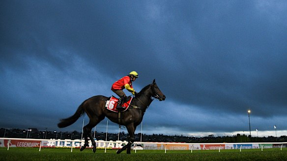 Captivant at the Valley on Tuesday.