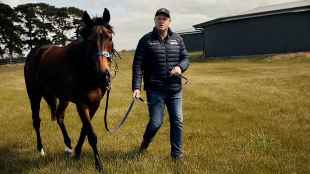 Victoria-based thoroughbred trainer Danny O’Brien decries the instant gratification offered by the Melbourne Cup’s fly-in, fly-out horses.