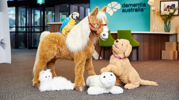 Squawkers McCaw, Nelson, Biscuit, Paro and Lulu.