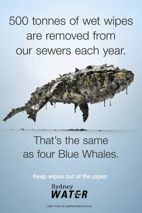 Sydney Water's campaign advising of the danger of disposable wet wipes.