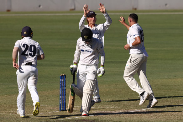 Campbell Kellaway and Scott Boland of Victoria celebrate a wicket during the Sheffield Shield match against Western Australia at WACA on Wednesday.