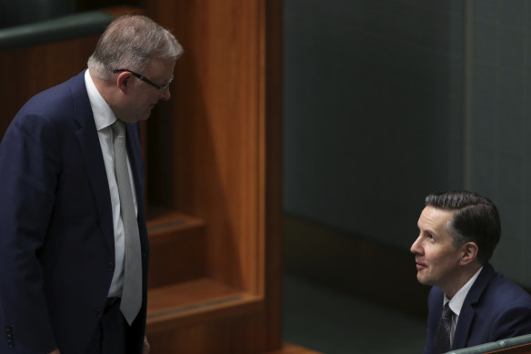 Opposition Leader Anthony Albanese and Labor MP Mark Butler in question time on Thursday.