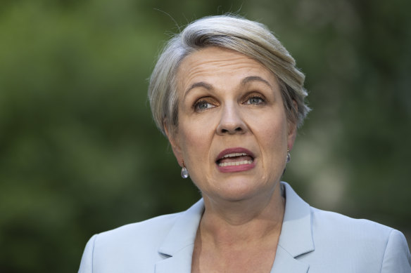 Environment Minister Tanya Plibersek says the government is concerned about Julian Assange.