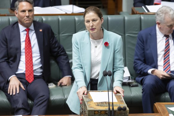 Small Business Minister Julie Collins during question time today.