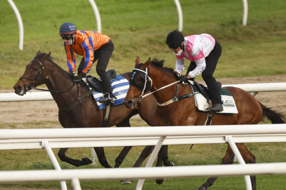 Keiai Nautique (right) will not take part in the Cox Plate.