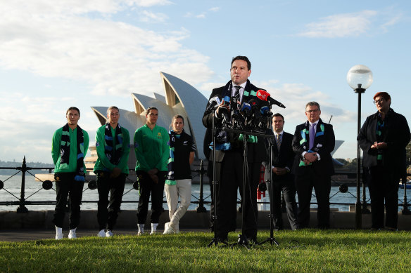 FFA chief James Johnson has described the current crop of Matildas as Australia's 'platinum generation'.