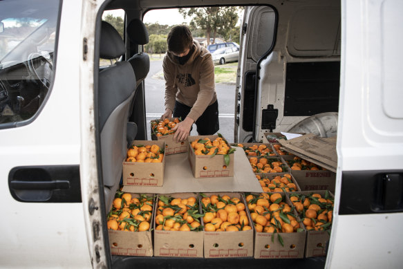 Mandarin farmer Isaac Watkins of Wisemans Ferry delivers produce to a family in Bligh Park. 