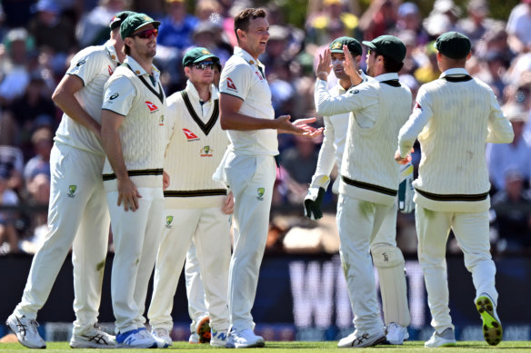 Josh Hazlewood celebrates a wicket 