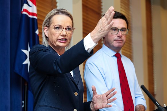 Liberal leader Sussan Ley and Nationals leader David Littleproud.
