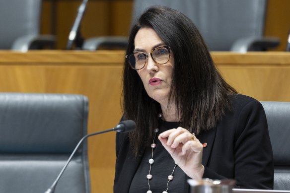 Labor senator Deborah O’Neill says the Linklaters report exonerating PwC International partners is at odds with recent information from local regulators.