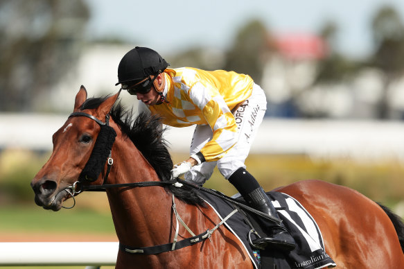 Jockey Andrew Adkins has had a rotten run with injuries over the past 15 months.