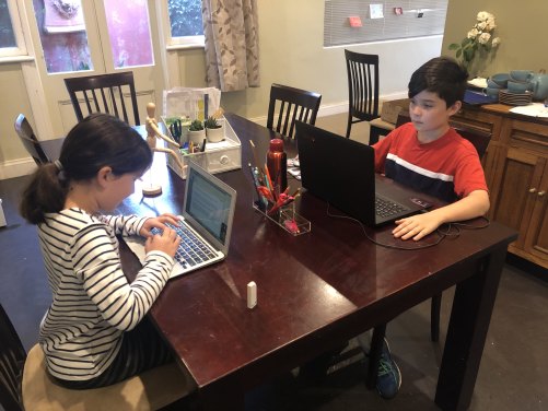 Alexander, 10, and Elizabeth, 8, do their lessons at home during the coronavirus crisis. Their mum, Yvette McDonald, says there is too much pressure on already-stressed parents.