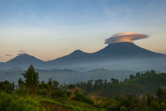 Volcanoes National Park has amazing scenery and, most famously, mountain gorillas.