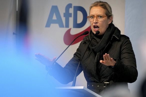 Alice Weidel, co-leader of the Alternative for Germany party. 