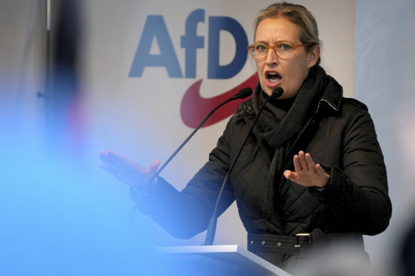 Alice Weidel, one of the AfD’s leaders, has called for Germany to hold a parliamentary election.