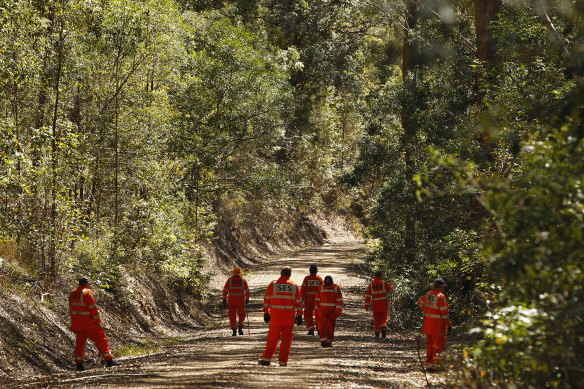SES volunteers and NSW police search along a road looking for signs of missing child William Tyrell.