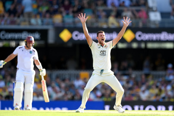 Australian quick Josh Hazlewood appeals on day one of the Gabba Test.