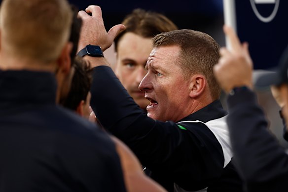 Blues coach Michael Voss.