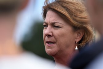 Roads Minister Melinda Pavey introduced the proposed driving laws to State Parliament on Wednesday. 