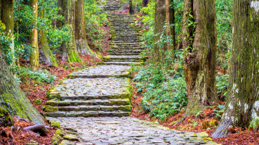 A section of the Kumano Kodo trail, a sacred trail in Nachi, Wakayama, Japan.