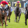 Race-by-race preview and tips for Armidale on Sunday